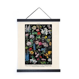 Vintage Botanical Fleurs Garden Flower 2 Print w/ optional frame / High Quality Giclee Print