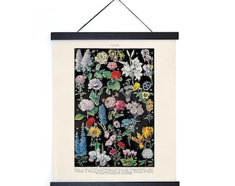Vintage Botanical Fleurs Garden Flower 2 Print w/ optional frame / High Quality Giclee Print