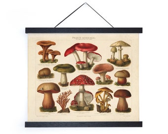 Vintage Botanical Mushroom German Pilze 2 Print / High Quality Giclee Print