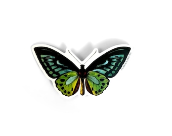 Vintage Blue Green Birdwing Butterfly Waterproof Sticker