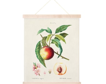 Vintage Botanical Peach Blossom Print w/ frame option / High Quality Giclee Print