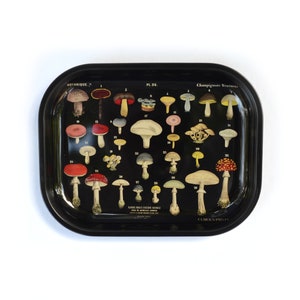 May include: Black metal tray with a vintage illustration of various mushrooms. The tray features a black background with colorful mushrooms and the text "Botanique", "Pl. 26", "Champignons Venéneus", and "Curious Prints".