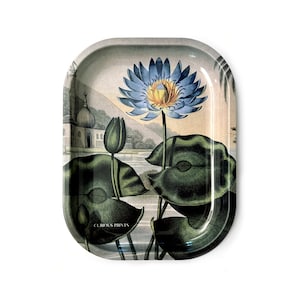 May include: A square metal tray with a blue and yellow water lily flower and green leaves. The tray has a white background with a light brown mountain scene in the background. The tray has the text "Curious Prints" in the bottom left corner.