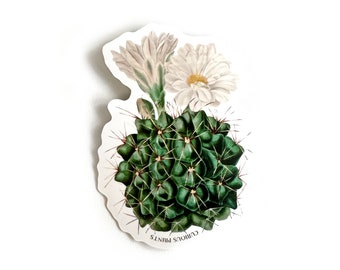 Vintage Botanical Cactus Flower Waterproof Sticker