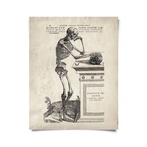 Vintage Anatomy Skeleton Leaning Print w/ optional frame / High Quality Giclee Print