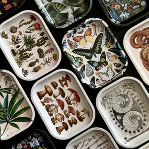 May include: A collection of ten decorative metal trays featuring various designs. The trays depict botanical illustrations, insects, mushrooms, and abstract patterns. The trays are all different sizes and shapes, and they are arranged in a random pattern on a black surface.