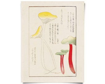 Vintage Japanese Mushroom Print 1 w/ optional frame / High Quality Giclee Print / Honzo zufu