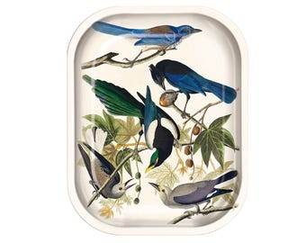 Small Metal Vintage Tray Audubon Magpie and Jaybirds Trinket Catchall Dish