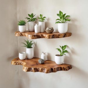 Op de afbeelding: Twee houten planken met natuurlijke randen aan de muur, elk met witte keramische potten met groene planten. Kleine witte vazen en een decoratieve kom met stenen zijn ook te zien.