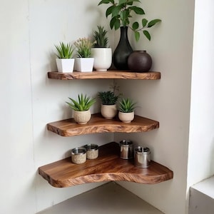 Puede incluir: Tres estanterías de esquina de madera con detalles de borde natural están montadas en una pared blanca. Las estanterías exhiben varias plantas en macetas, incluyendo suculentas y pequeños árboles, junto con jarrones decorativos y recipientes metálicos. La madera tiene un tono marrón cálido.