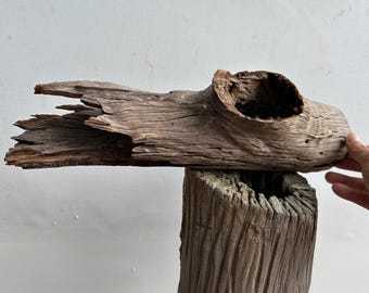 Hollow driftwood aquarium cave natural aquascape wood log piece hide for betta real fish tank decor