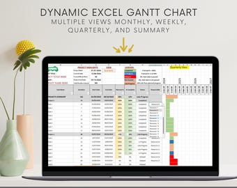 Dynamic Excel Gantt Chart with Multiple Views Monthly, Weekly, Quarterly, and Summary