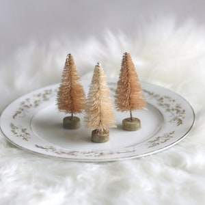 2 Chestnut colored set of 3 Bottlebrush sisal trees image 9