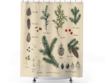 Vintage Pine Tree Botanical Print, Winter Shower Curtain, Christmas Holiday Bathroom Decor, Bath Curtain, Pinecone Art