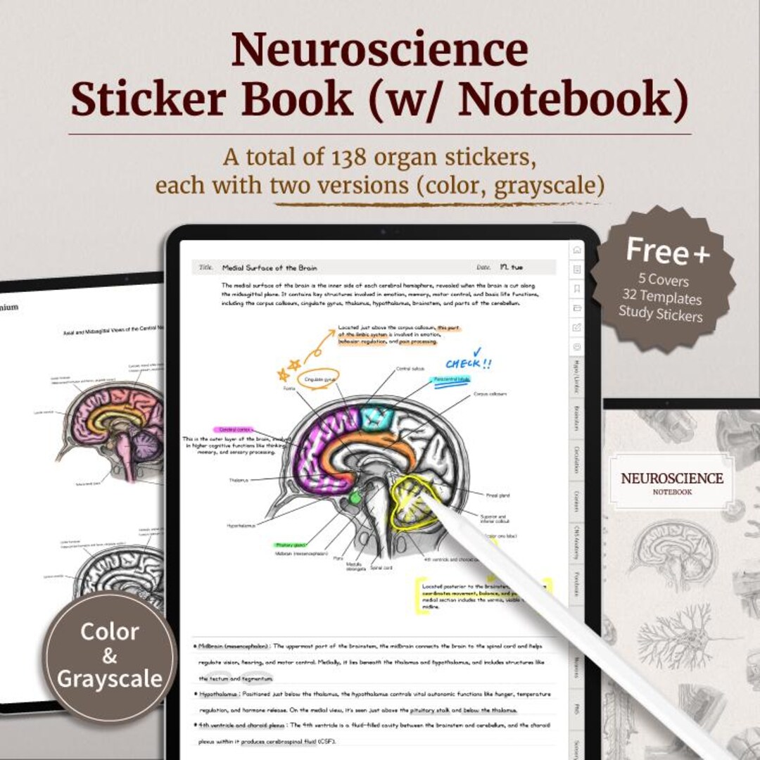 Neuroscience Sticker Book (w/ Notebook) High-res Stickers for Med ...