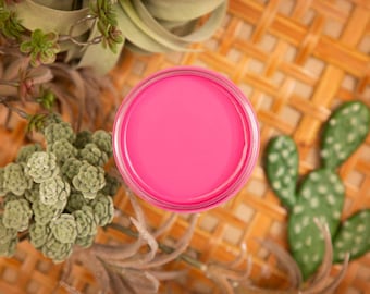 Silk All in one Mineral Paint Prickly Pear Dixie Belle Paint