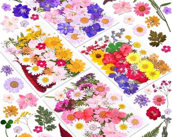 140 Pcs Pressed Flowers Kit: Natural Dried Flowers for Resin Art & Crafts