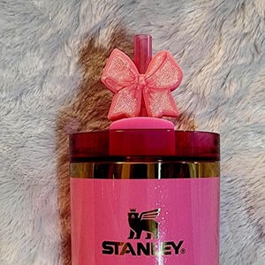 Pink Glinda Ribbon Bow Straw Topper Slider for Stanley 20,30,40oz Quencher - Tumbler Accessory  - Pink Ice Straw Topper- Tumbler Accessories