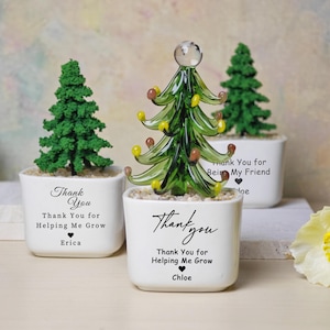 以下が含まれることがあります： 3つの小さな装飾的なクリスマスツリープランター。2つは緑色の人工木があり、1つは黄色と茶色のアクセントが付いたガラスの木があります。各白いプランターには感謝のメッセージと名前が書かれています。