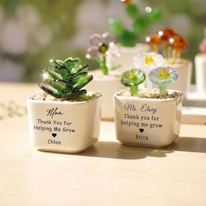 Può includere: Due vasi quadrati in ceramica bianca contenenti piante in vetro. Il vaso a sinistra presenta una succulenta verde e il testo Mom, Thank You for Helping Me Grow, Chloe. Il vaso a destra ha due fiori in vetro e il testo Ms. Elsey, Thank you for helping me grow, Erica.