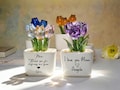Glass Everlasting Tulips, Mom Flower Gift, Hand Blown Glass Potted, Mothers Day Gifts