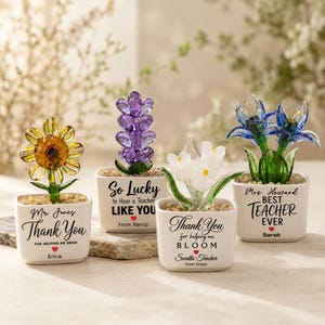 Pot de fleurs en verre personnalisé avec le nom de l'enseignant(e), remerciement pour votre aide précieuse, mini décoration de bureau faite main, cadeau de Noël