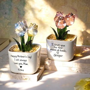 Può includere: Due piccoli vasi quadrati in ceramica bianca con fiori di tulipano in vetro. Un vaso ha tulipani blu e gialli, l'altro ha tulipani rosa. Il testo sui vasi recita: "Buona festa della mamma! Ti amerò per sempre, mamma. Erika" e "Ti amo fino alla luna e ritorno. Ginger."