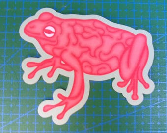 Brain Frog Vinyl Sticker - for Laptop, Phone Case, Water Bottle