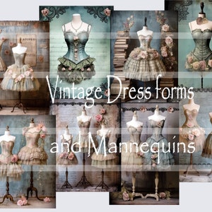 chinese dress ladies VISIONS LACE FLOOR LENGTH DRESS | BUTTERCREAM | THIRD FORM | Women's  Australian Fashion — THIRD FORM main image 1