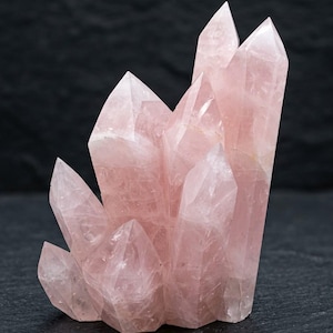Pode incluir: Um aglomerado de cristais de quartzo rosa pálido com múltiplas terminações pontiagudas e translúcidas. A formação mineral exibe vários tons de rosa suave com fraturas e facetas internas naturais em toda a estrutura.