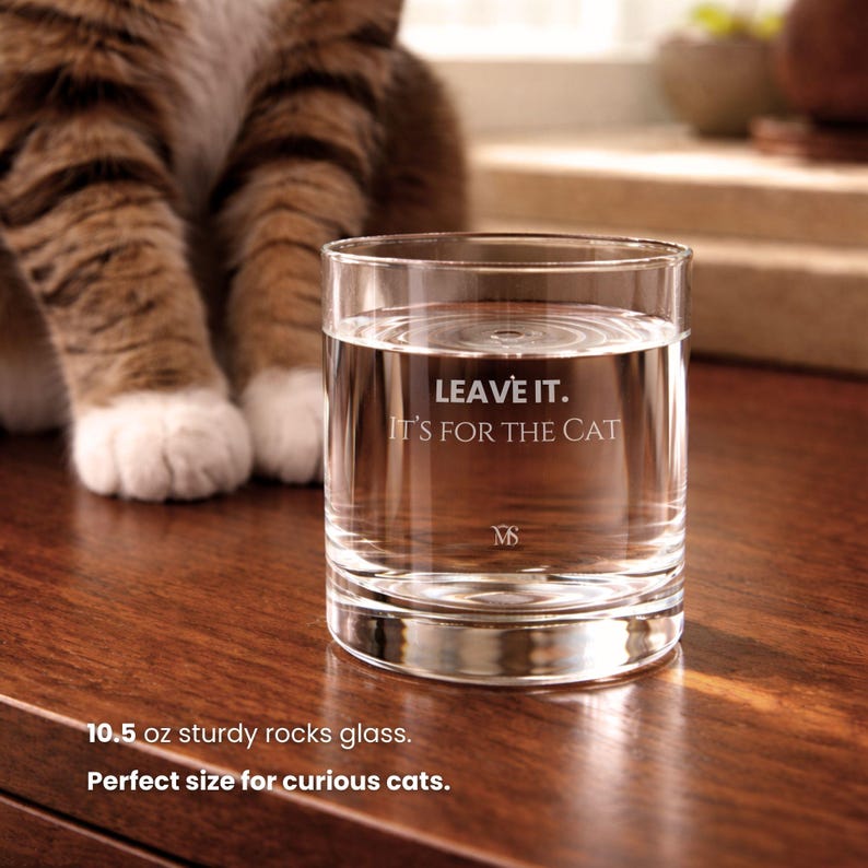 Glass Cat Water Bowl | Rocks Glass, Pet Lover Gift image 7