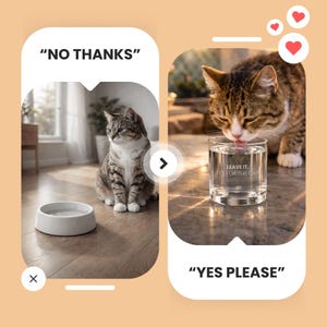 Glass Cat Water Bowl | Rocks Glass, Pet Lover Gift image 4
