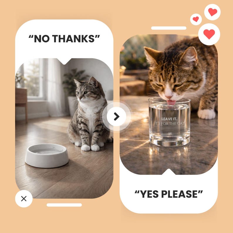 Glass Cat Water Bowl | Rocks Glass, Pet Lover Gift image 4