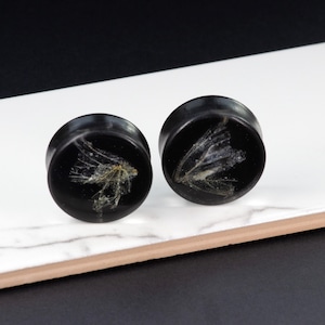 30MM (1.18) Plugs - Broken Wings - Epoxy Resin Plugs for Stretched Ears - Black Plugs