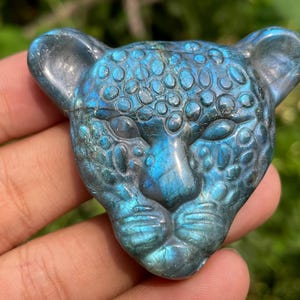 Labradorite Leopard Skull: Hand Carved Crystal Healing Gift