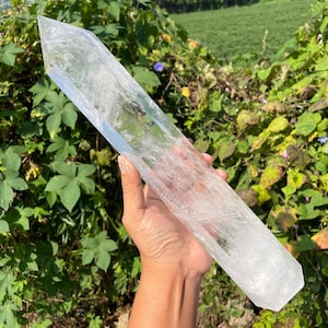 Può includere: Una punta di cristallo di quarzo trasparente, tenuta contro uno sfondo di fogliame verde. Il cristallo è trasparente con strutture interne visibili e una punta sfaccettata lucidata. Il cristallo è lungo circa 30 cm.