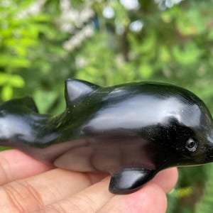 May include: A polished black dolphin ornament. The figurine has a smooth, reflective surface and is held in a hand. The dolphin features a dorsal fin, flippers, and a pointed snout. The background is blurred green foliage.