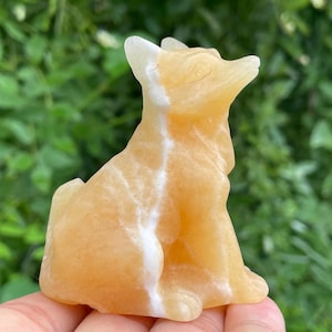 2.6&#39;&#39;+Natural Geode stone fox skull stand quartz,quartz crystal,Crystal  fox,Fox Skull,Home Decoration Crystal Gifts 1pc