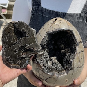 32LB Natural Dragon Septarian Quartz Geode Crystal Egg Mineral Healing