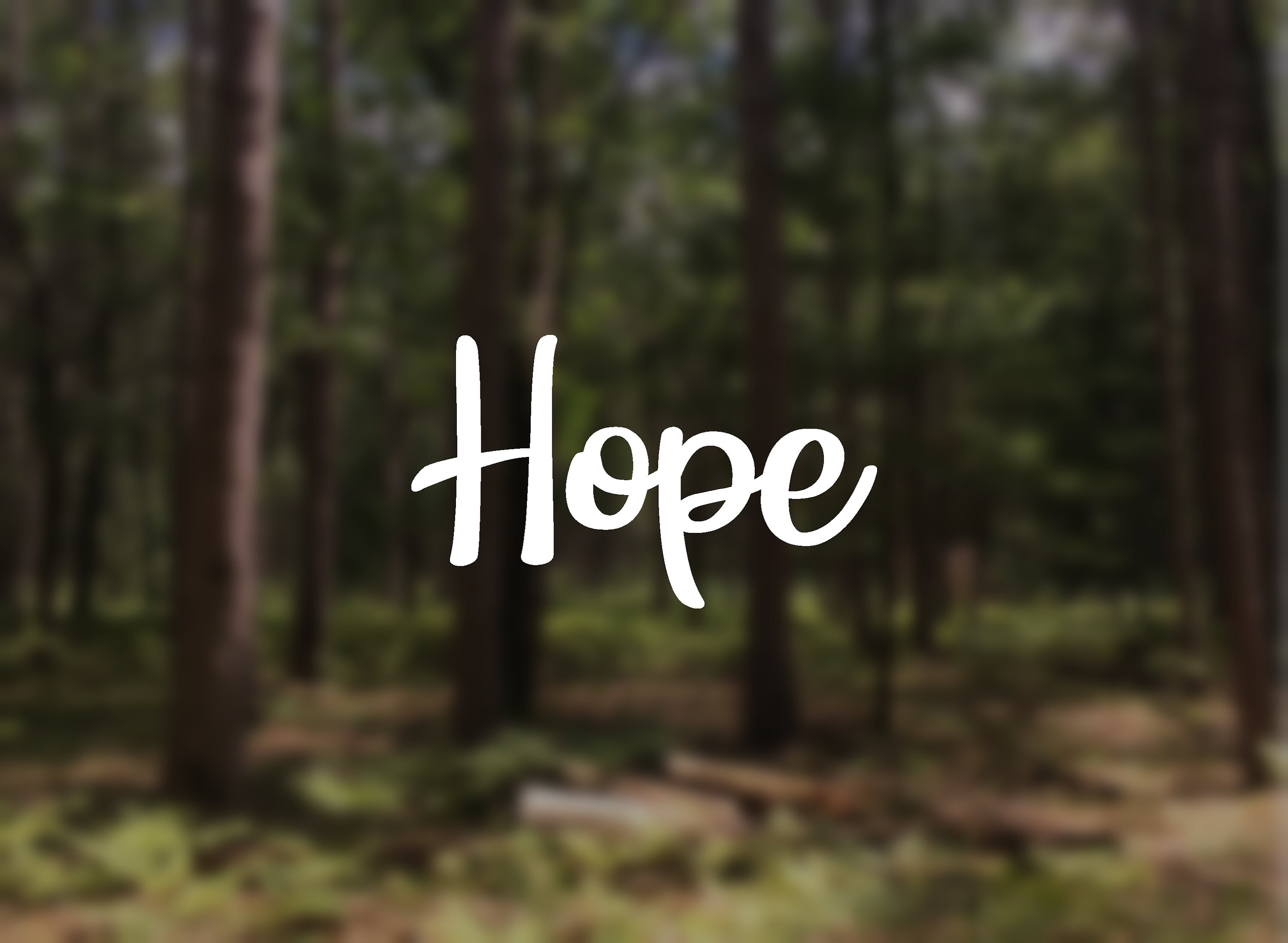 Hope Vinyl Decal or Sticker - Etsy