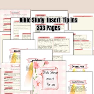 May include: A collection of 333 Bible study insert tip-ins featuring printed pages with pink floral accents, grid patterns, and headers for books like Exodus, Leviticus, Numbers, and Deuteronomy, including sections for main themes and key people.
