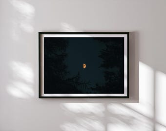 May include: A framed photograph of a crescent moon in a dark night sky, framed by trees. The moon is a bright orange color.