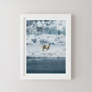 Stampa di orso polare / Arte murale della fauna selvatica artica / Poster di ghiaccio delle Svalbard / Foto naturalistica minimalista / Decorazione per climi freddi di Giulio Groebert