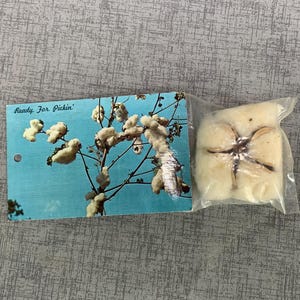 Cartolina vintage pronta per la raccolta con cotone non contrassegnato