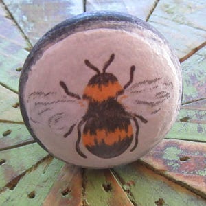Bee Knob Nature Accent for Drawers or Cabinets