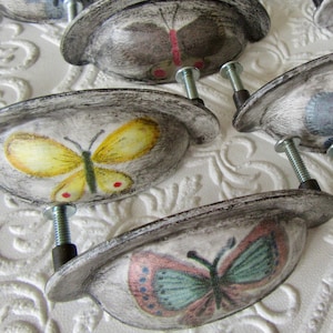 8 Butterfly Bin Drawer Pulls