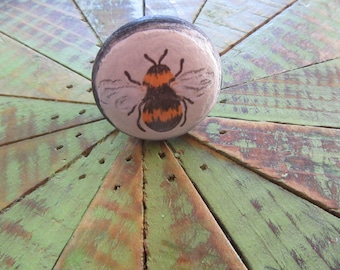 Bee Knob Sold Individually Black and Off White Accents for Drawers or Cabinets