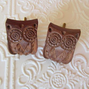 以下が含まれることがあります： 手作りの木製フクロウ型イヤリングのペア。イヤリングは濃い茶色の木材から彫られており、詳細な同心円の目とテクスチャ加工された表面が特徴です。各イヤリングには金色のポストが付いています。