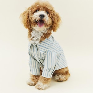 Blue Striped Button-Up Dog Shirt | Lightweight Cotton Blend Summer Puppy Clothes