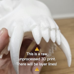 May include: A white 3D-printed model of a skull, featuring prominent fangs and detailed texture. The text on the image reads: "This is a raw, unprocessed 3D print. There will be layer lines!"